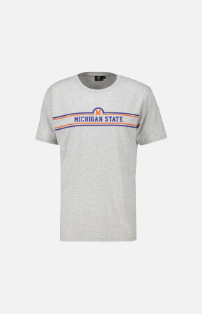 T-shirt Michigan State Light grey melange