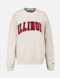 Sweater Illinois