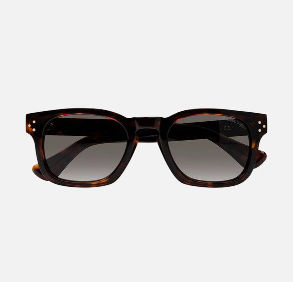 Frontal image of 9768 Square Sunglasses in Dark Turtle
