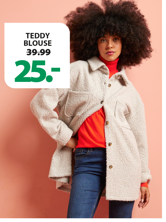 teddy blouse