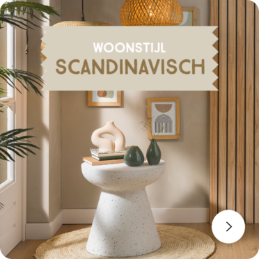 Woonkamer Scandinavisch